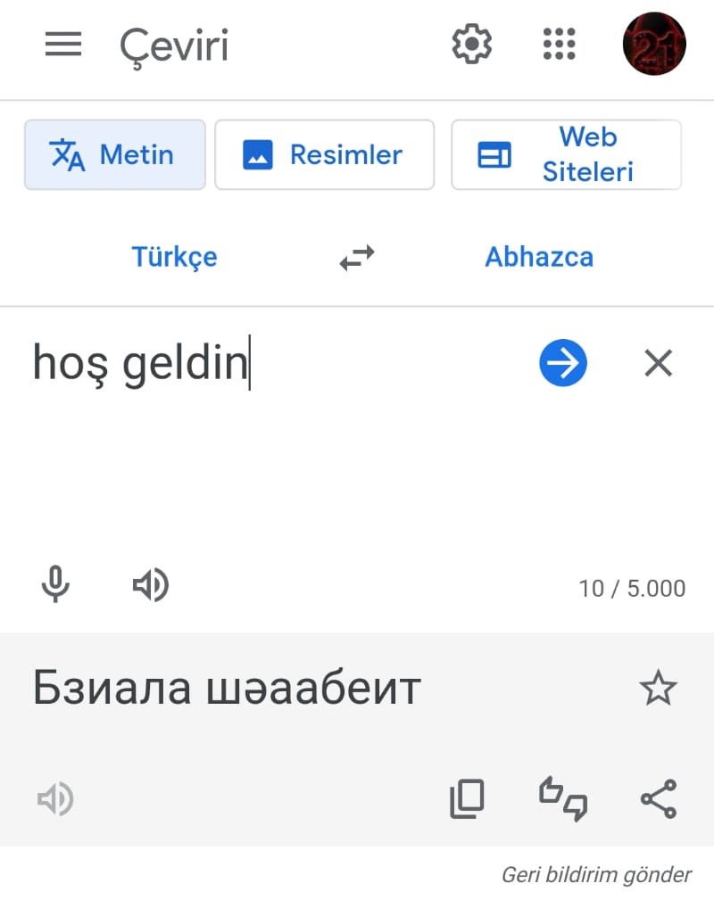 Abhazca Çeviri