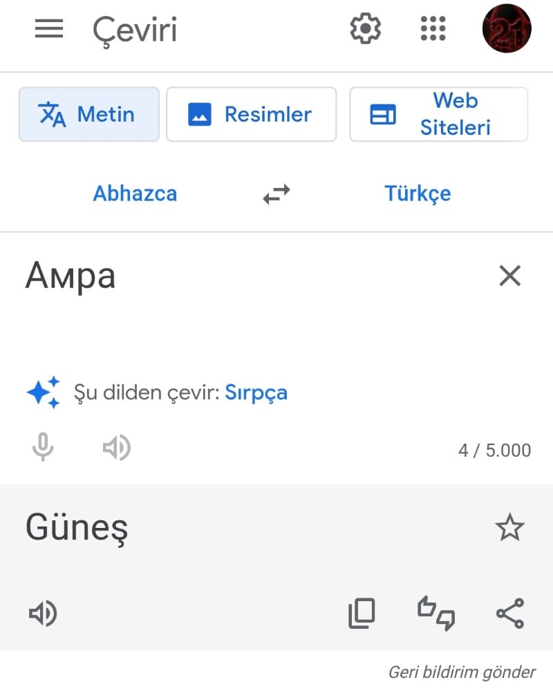 Google Çeviri'ye eklenen Abhazca